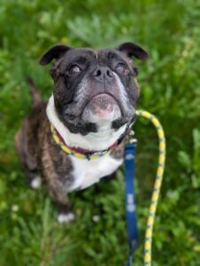 Looking cute for extra treats 