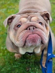 Waiting for my treats 