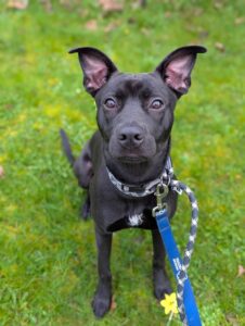 Waiting for my treats 