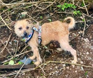 Exploring the garden 