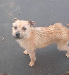 Waiting for my treats 