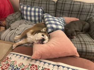 Chilling out on the sofa 