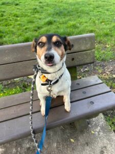 Sitting on the bench 