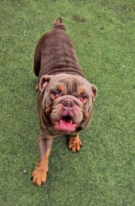 Playing in the garden 