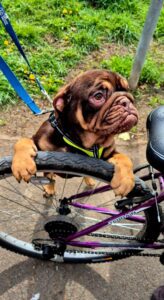 Checking the bike tyres