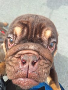 Showing off my new eyes 