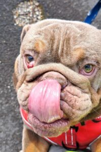 Poking my tongue out 