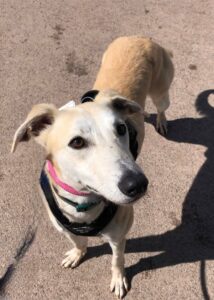 Waiting for my treats 