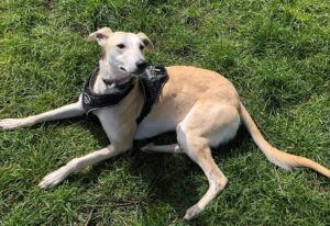 Taking a break from playing 