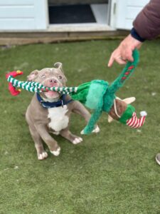 Playing with his toys 