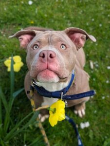 Sitting in the flowers