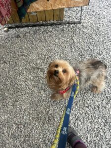 On a walk 