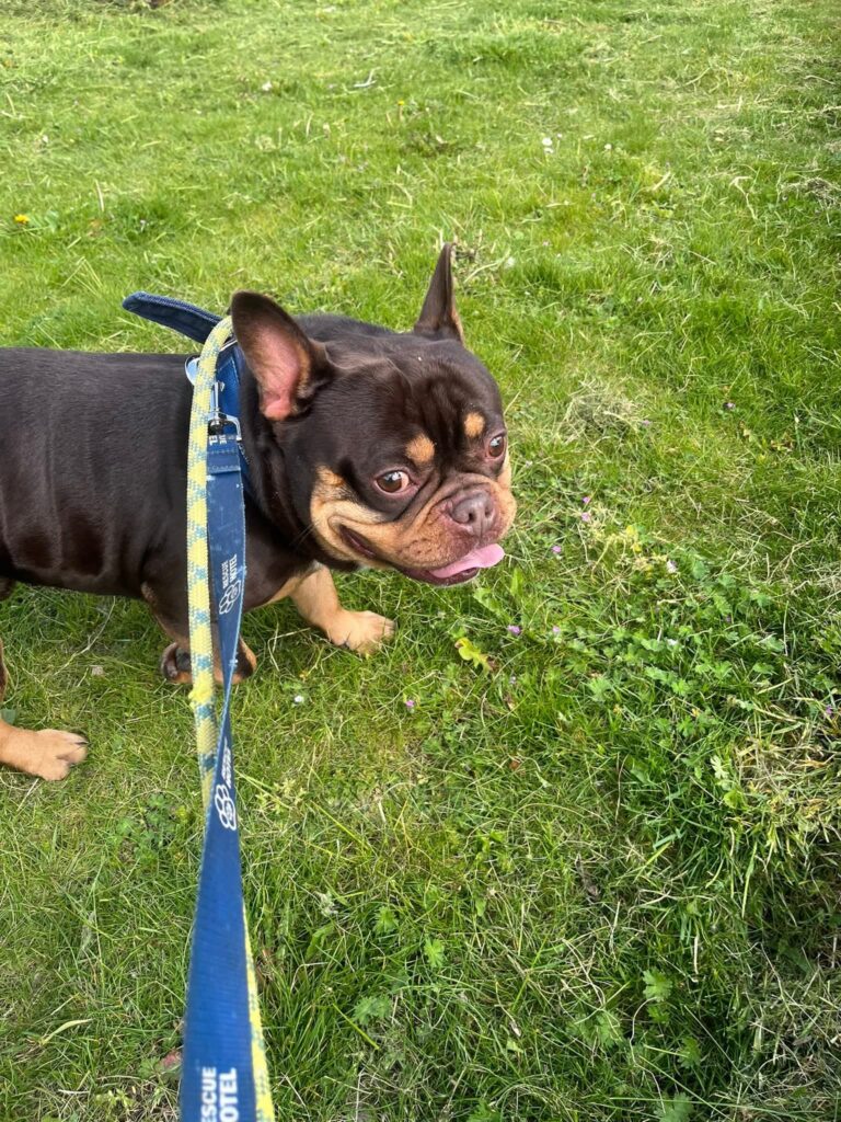 Frank
