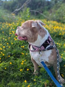 On a walk
