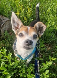 Charlie