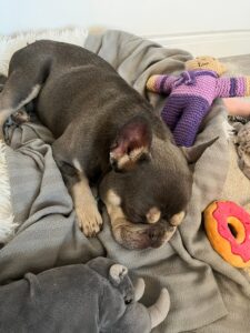 Sleeping 
