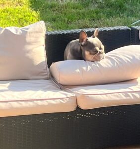 Sunny days 