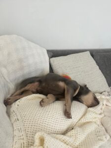 Sleeping 