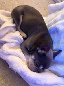 Sleeping 