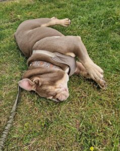 Rolling around