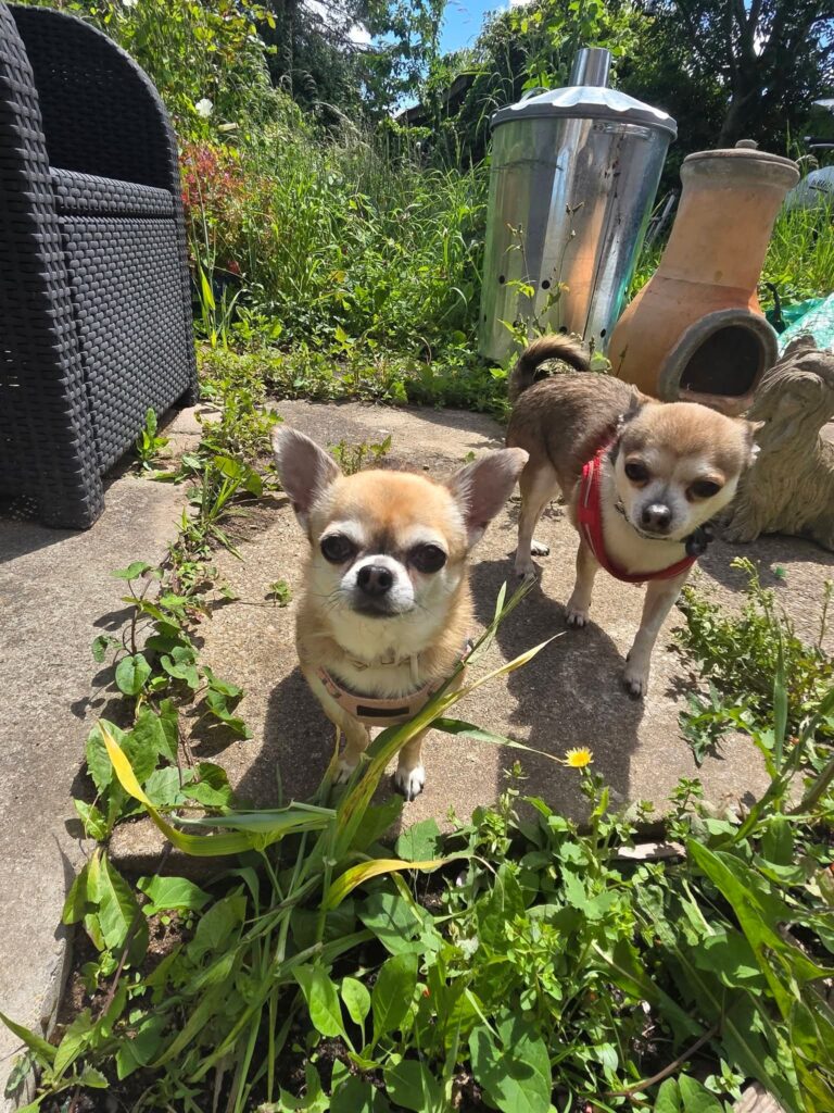 Nev and Isla
