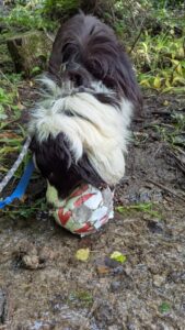 Playing ball 