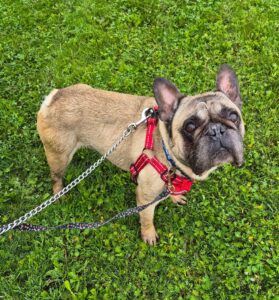 On a walk 