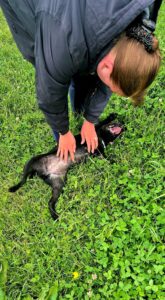 Belly scratches