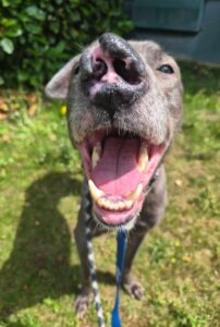 Al showing off his smile