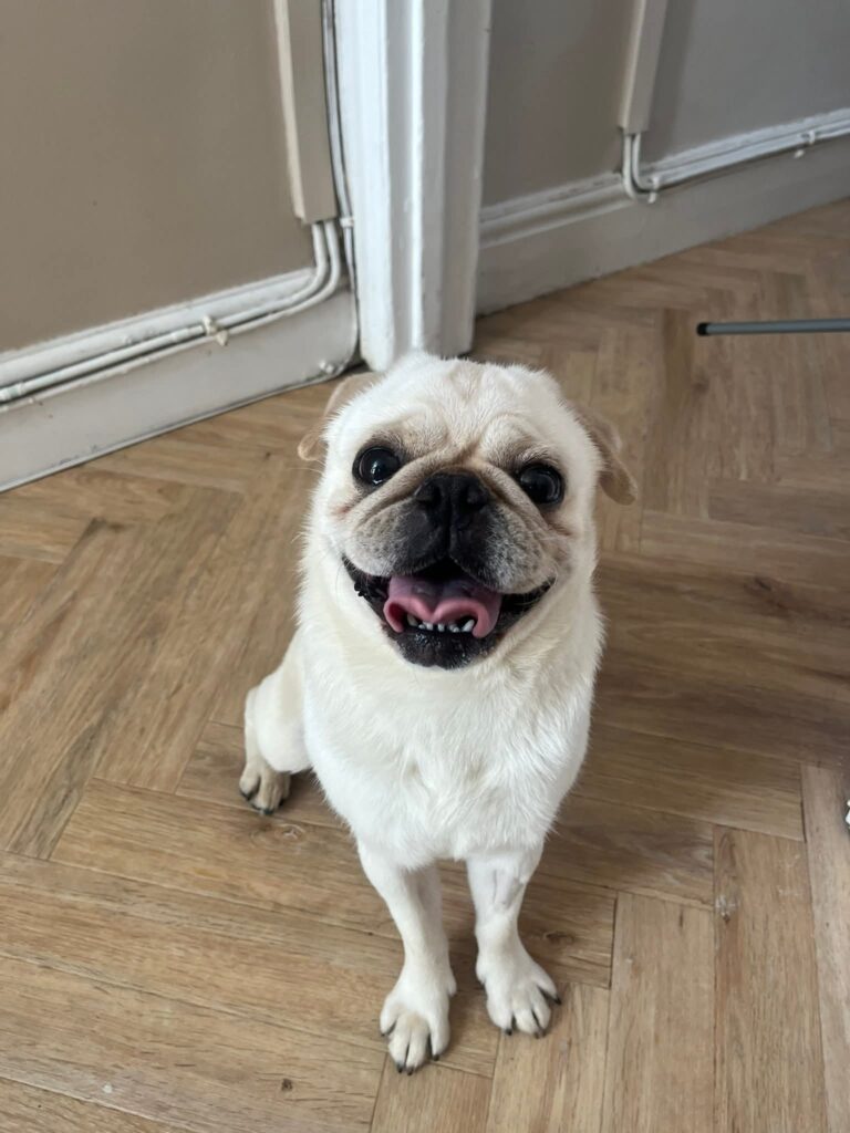 Luca