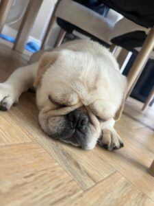 Taking a nap 