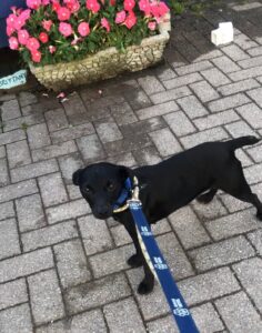 Waiting to go in for my breakfast