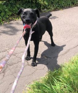 Out on a walk
