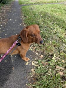On a walk 