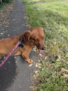 On a walk 