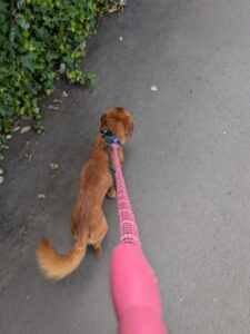 Taking the lead 