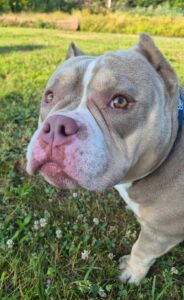 Side eye 