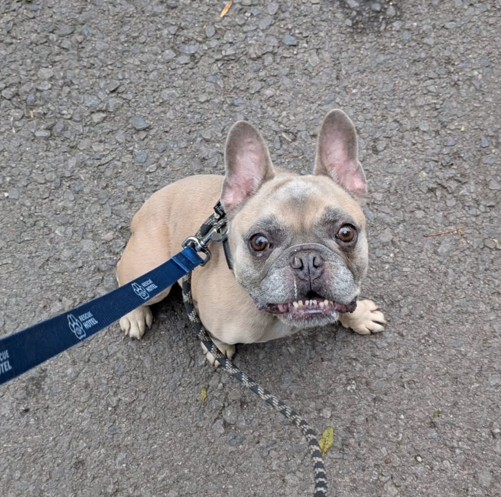 Chunk