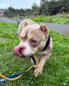 Showing off my tounge