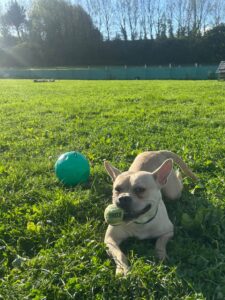 Playing with my favourite ball
