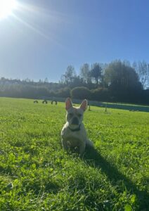 Posing in the sun
