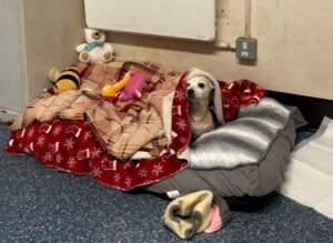 Waking up from a nap 