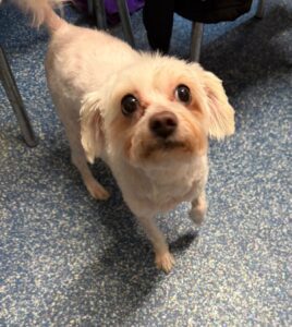 Betti after her hair cut