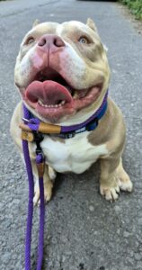 Smiling for the camera 