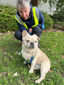 Rex with a volunteer