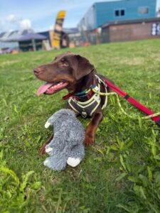 Red with his toy