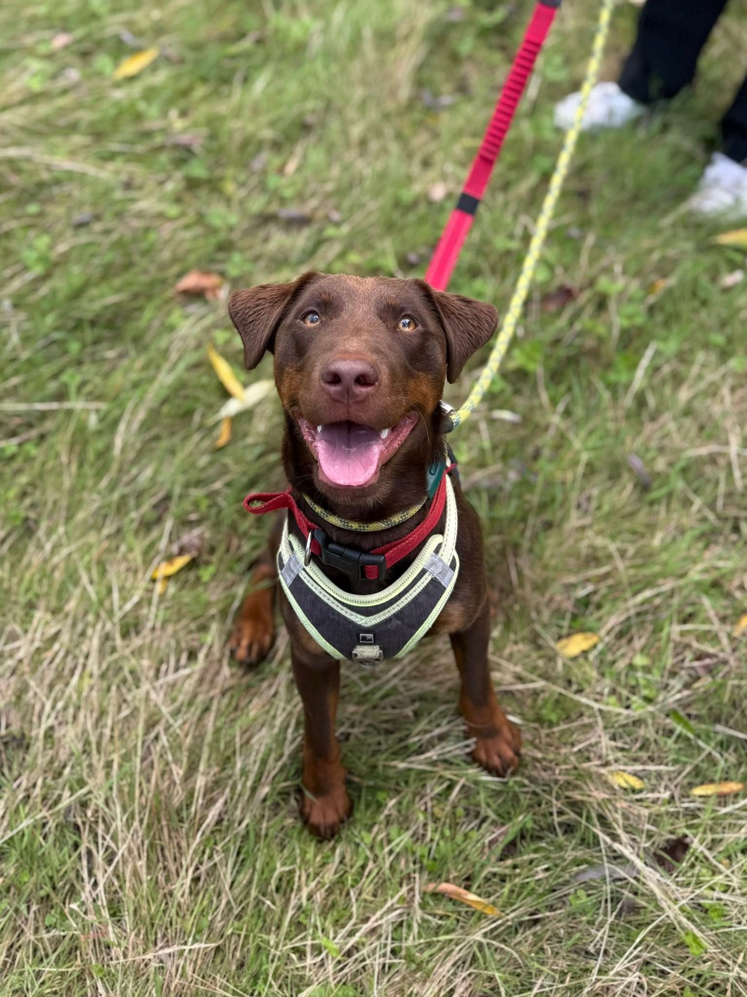 Red posing for the camera