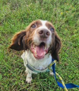 Sally being silly on a walk 
