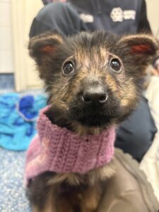 Posing in her jumper