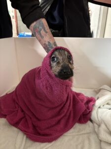 Keeping warm in the bath